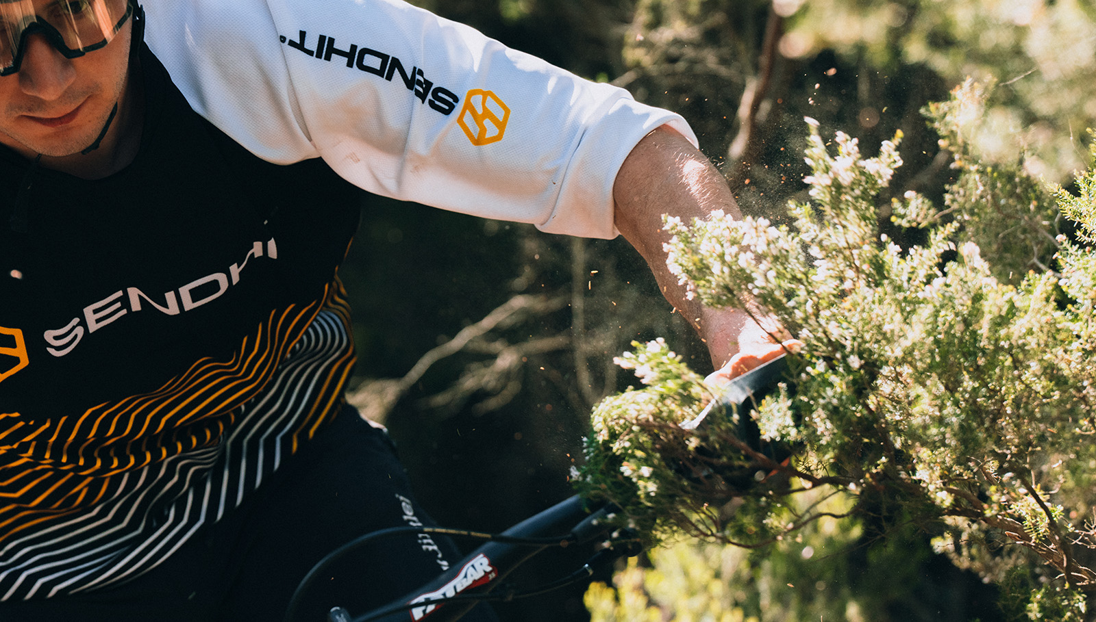Rider scrubbing through sharp bushes.
