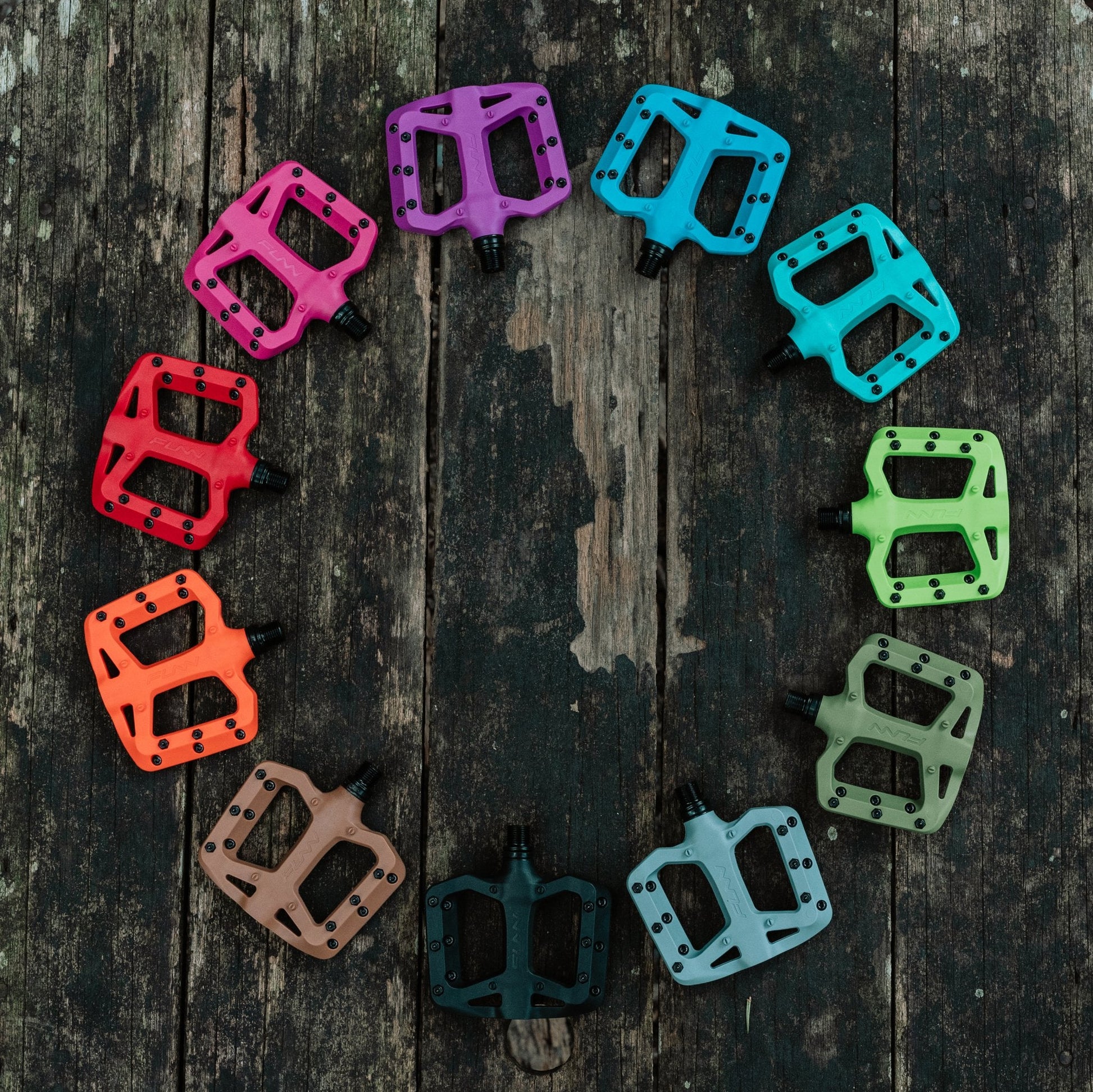 Variety of pedal colours, placed in an artistic circle.