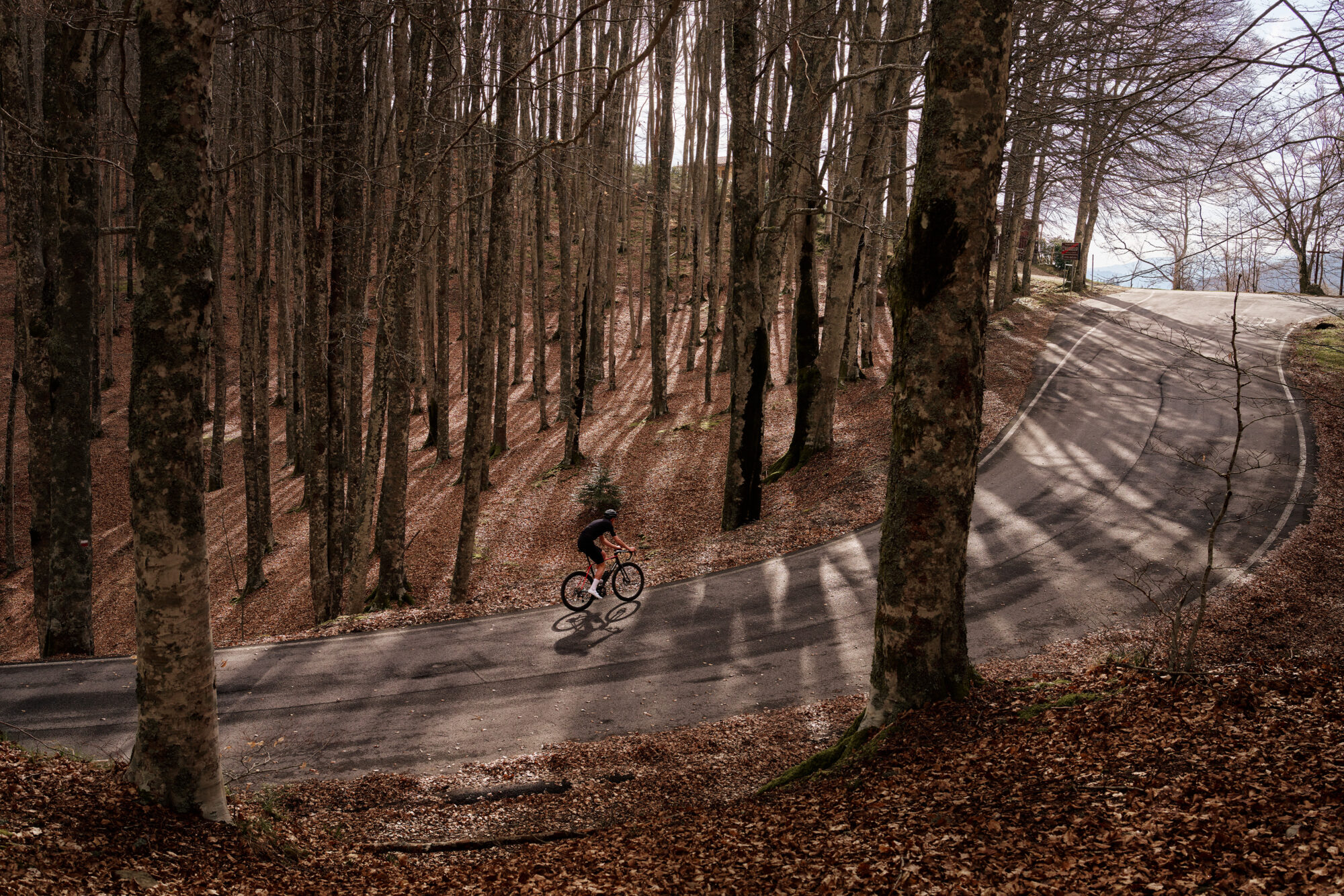 New Colnago C72. Perfectly Composed.