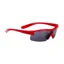 BBB Kids Cycling Sport Glasses Small Frame Red Smoke Lens BSG-54 
