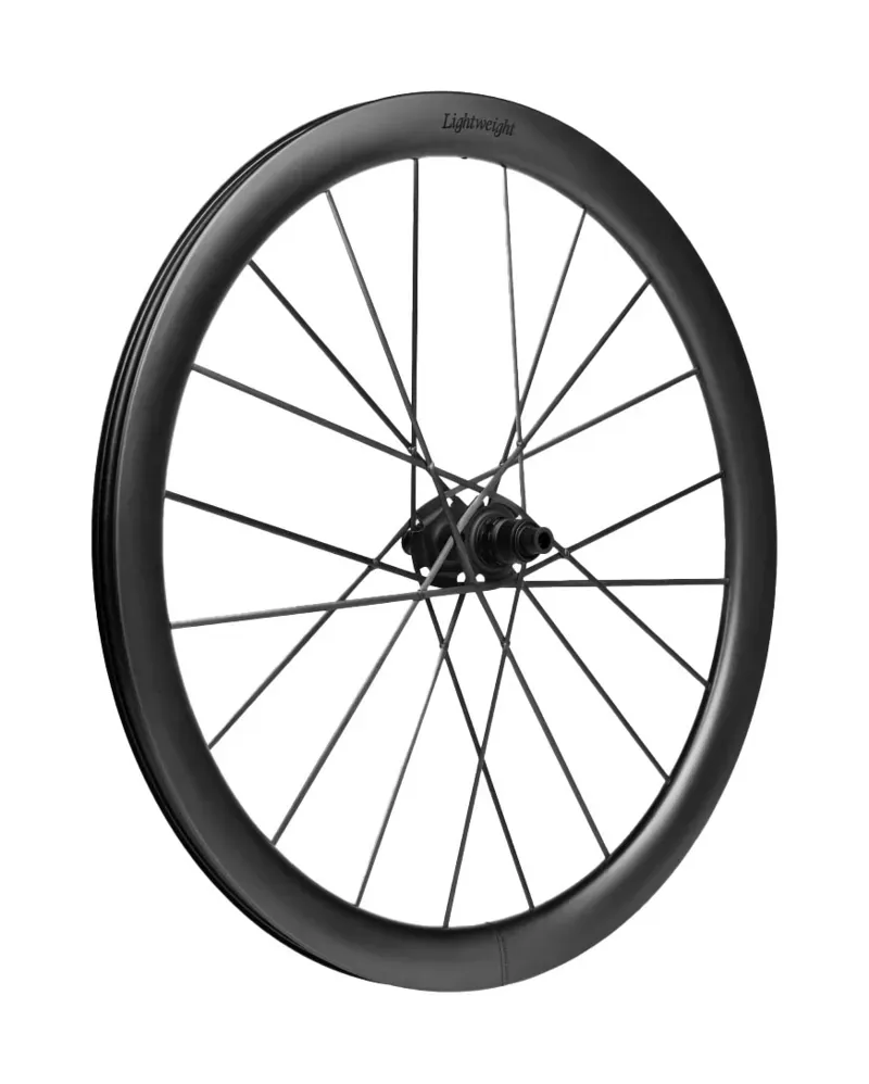 Lightweight Wheels Meilenstein ART Evo Disc Brake Road Carbon Wheelset Tubeless Ready Schwartz Ed-1