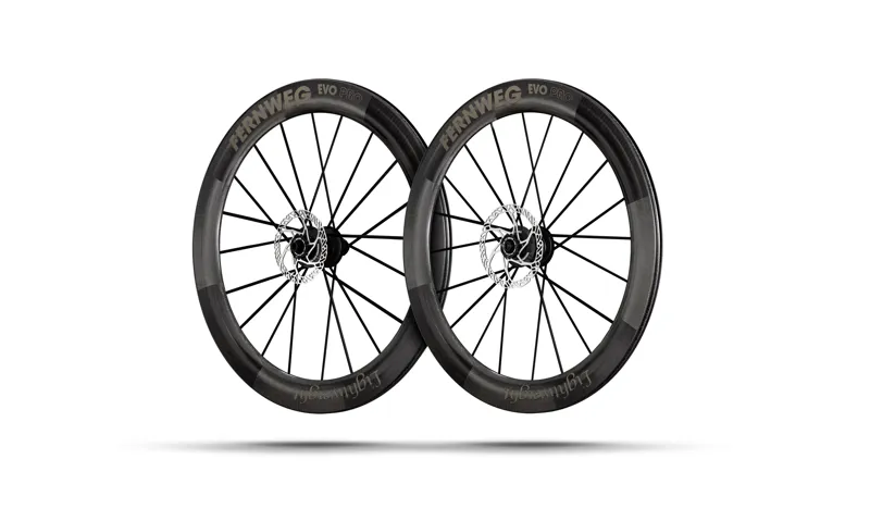 Lightweight Wheels Fernweg 63 Evo Pro SE Carbon Road Disc Brake Rear Wheel TI Tubeless Ready-1