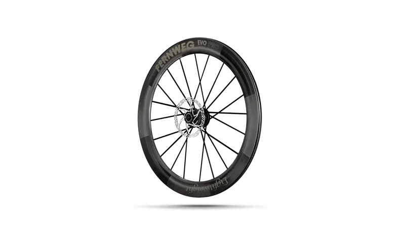 Lightweight Wheels Fernweg 63 Evo Pro SE Carbon Road Disc Brake Rear Wheel TI Tubeless Ready-1