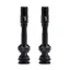 BBB CoreCaps Tubeless Valves and Caps 2pcs BTI-166  Black