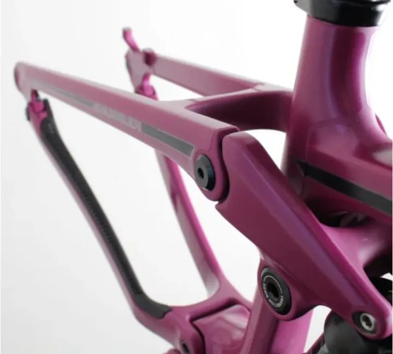 Invisiframe Carbon Matte Finish Frame Kit - With Installation