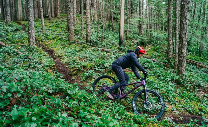 Transition Spur All Country Carbon MTB GX Complete Bike Blackberry-2