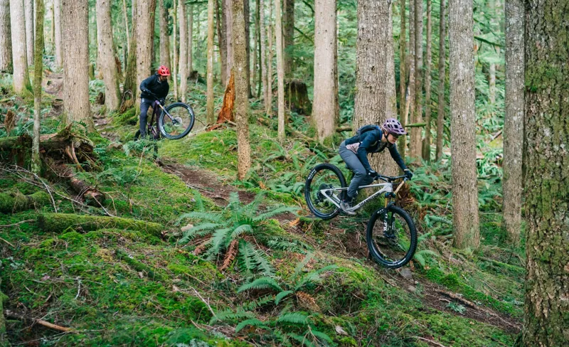 Transition Spur All Country Carbon MTB GX Complete Bike Blackberry-3