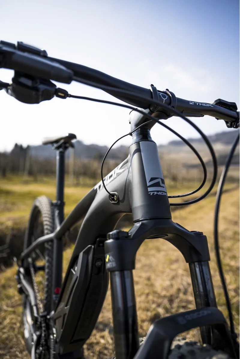 THOK MIG-HT 29 Hard Tail MTB Complete Ebike Black-9