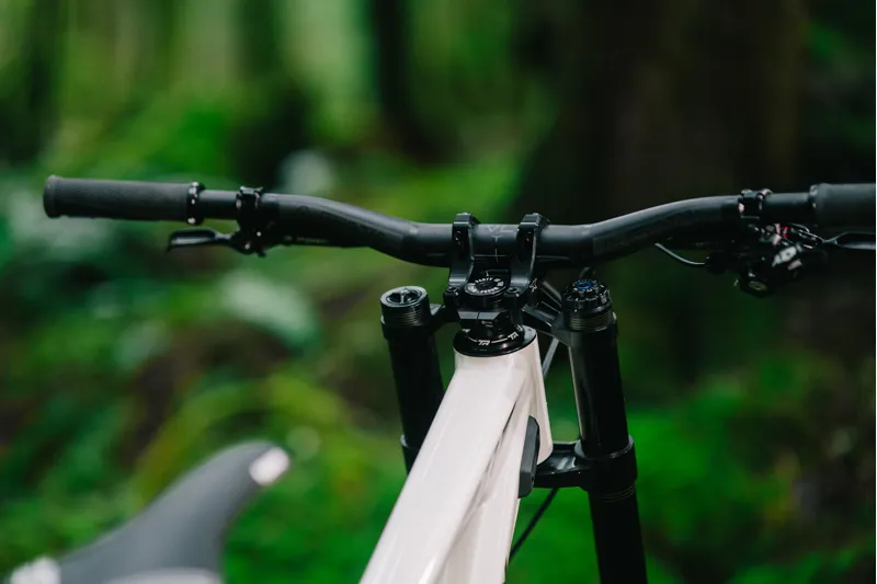 Transition TR11 Alloy DH MTB Downhill Frame Glacier White-5