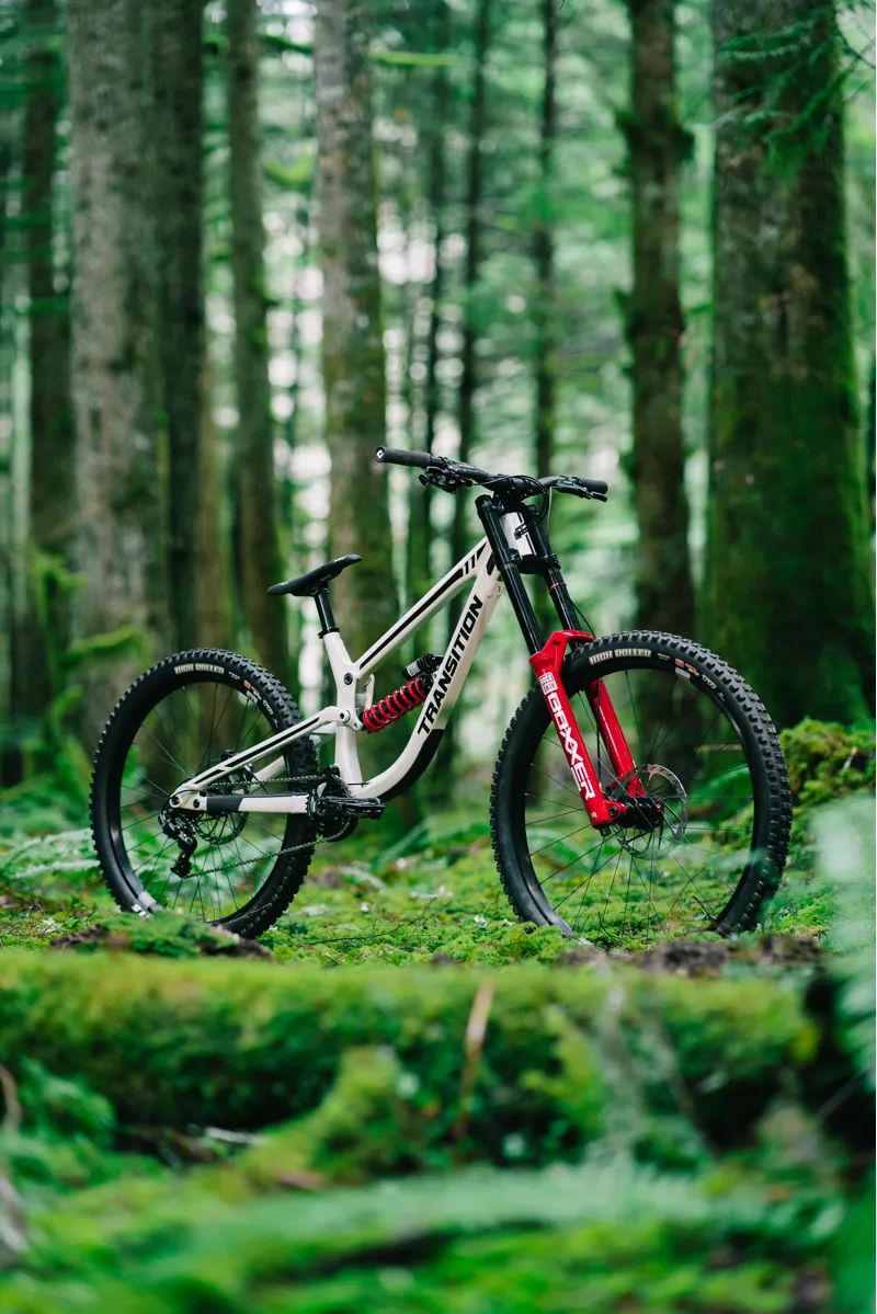 Transition TR11 Alloy DH MTB Downhill Frame Glacier White-6