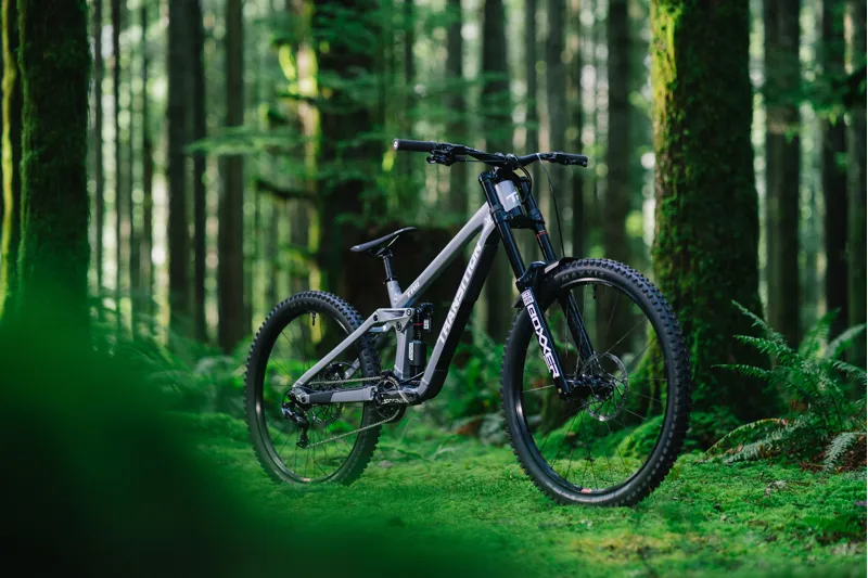 Transition TR11 Alloy DH MTB Downhill Frame Set Moonstone-3