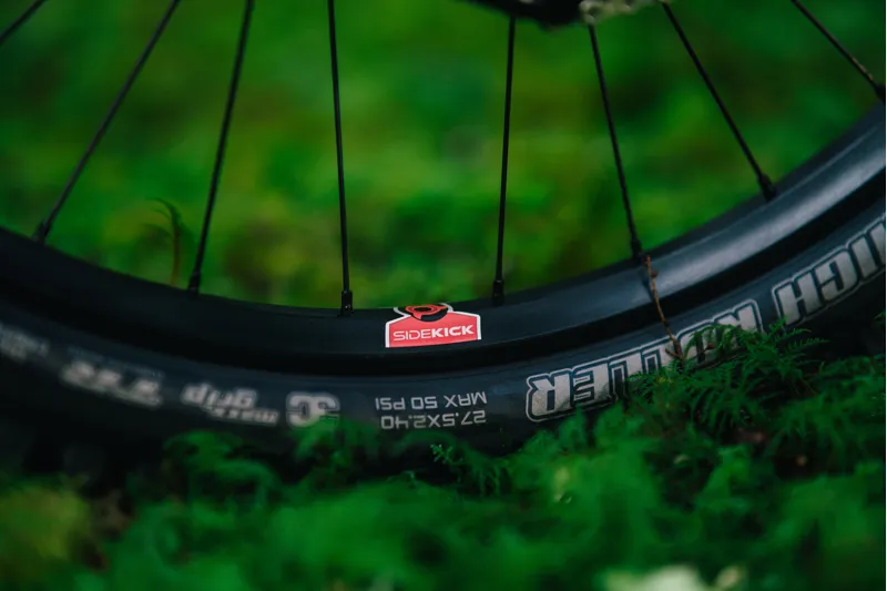 Transition TR11 Alloy DH MTB Downhill Frame Set Moonstone-6