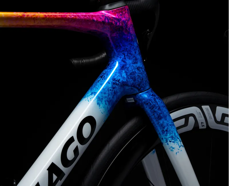 Colnago V5rs Disc 2025 Complete Carbon Road Bike with Dura Ace 12 Speed Di2 STNT-6