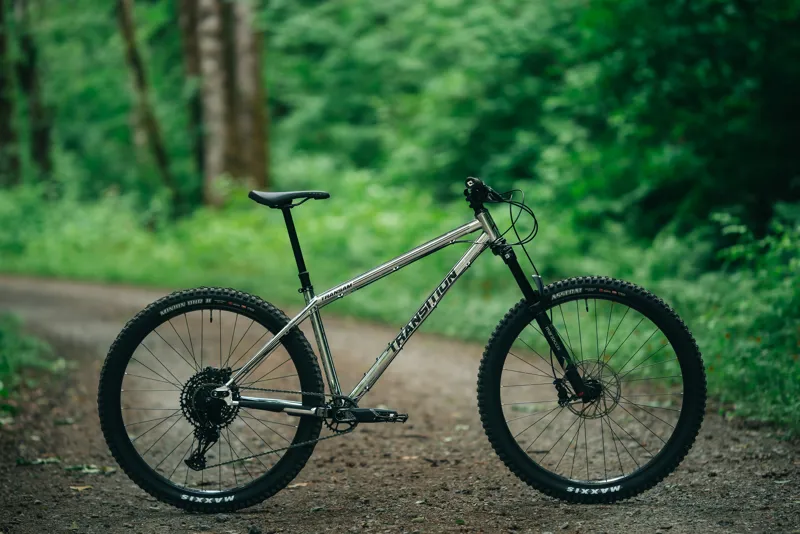 Steel hardtail mtb online