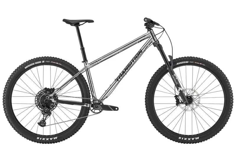 Steel hardtail online